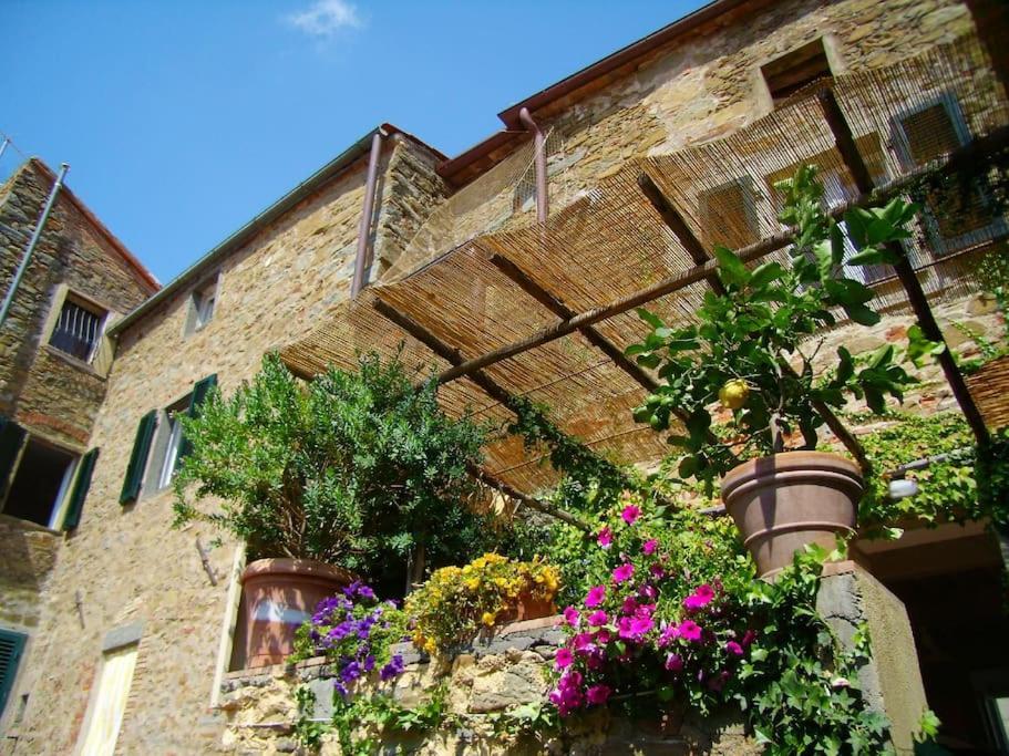 Near The Sea Big Panoramic House 2 Terraces In Lovely Village Montiano  Kültér fotó